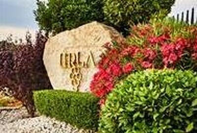 İZMİR ŞARAP TADIM TURU 3 GECE 4 GÜN