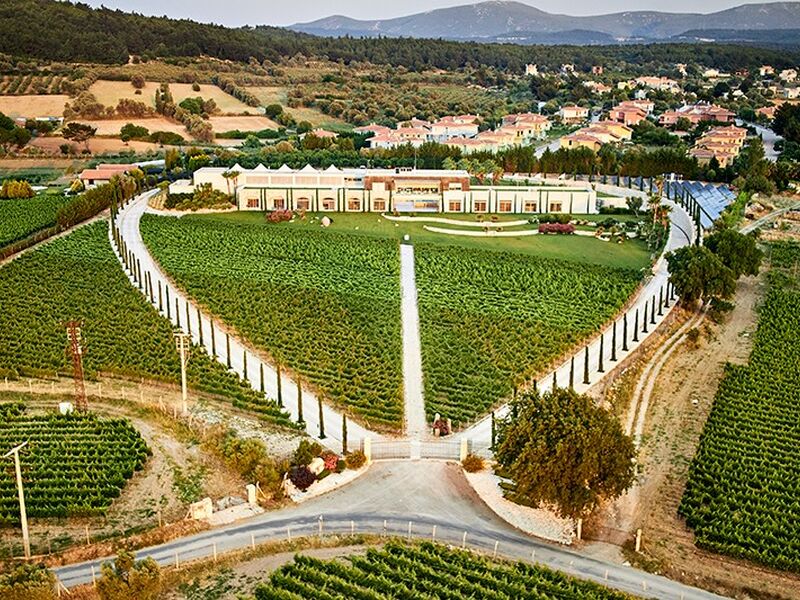 İZMİR ŞARAP TADIM TURU 3 GECE 4 GÜN